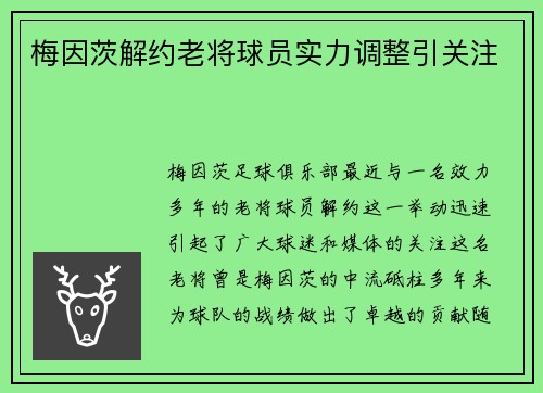 梅因茨解约老将球员实力调整引关注